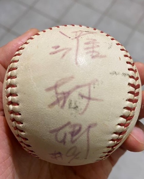 「我們要巨蛋」的記憶